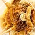 Esculturas hechas por abejas