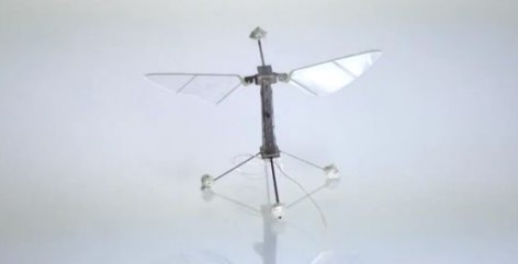 RoboBee (Robot Volador)